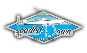 loadeddownsportfishing.com